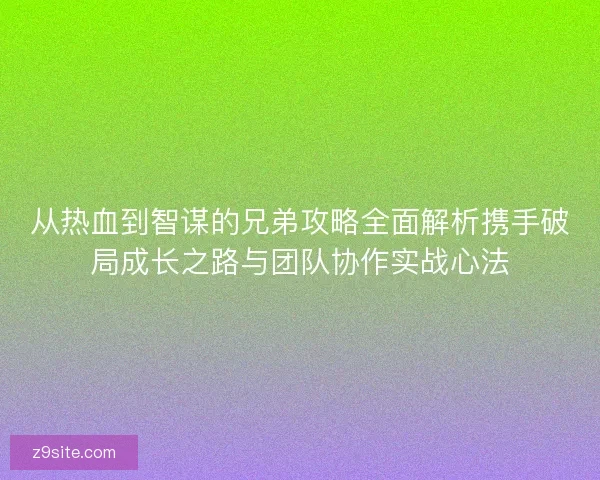 从热血到智谋的兄弟攻略全面解析携手破局成长之路与团队协作实战心法
